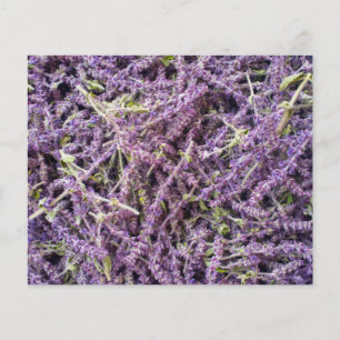 Prospectus 11,4 Cm X 14,2 Cm Motif de fleurs de lavande