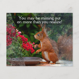 Prospectus 11,4 Cm X 14,2 Cm NETTOYAGE DE FENÊTRE PROMO 4 x 5 personnalisable