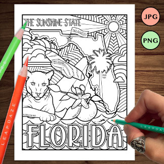 Prospectus 11,4 Cm X 14,2 Cm page de coloriage de l'état de la floride