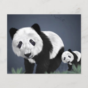 Prospectus 11,4 Cm X 14,2 Cm panda ours mignon animal câlin noir blanc doux