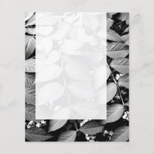 Prospectus 11,4 Cm X 14,2 Cm Panel 037 - Feuille