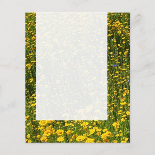 Prospectus 11,4 Cm X 14,2 Cm Panneau 0114 - Champ de marguerites jaunes (Devant)