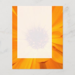 Prospectus 11,4 Cm X 14,2 Cm Panneau 026 - Orange Marigold