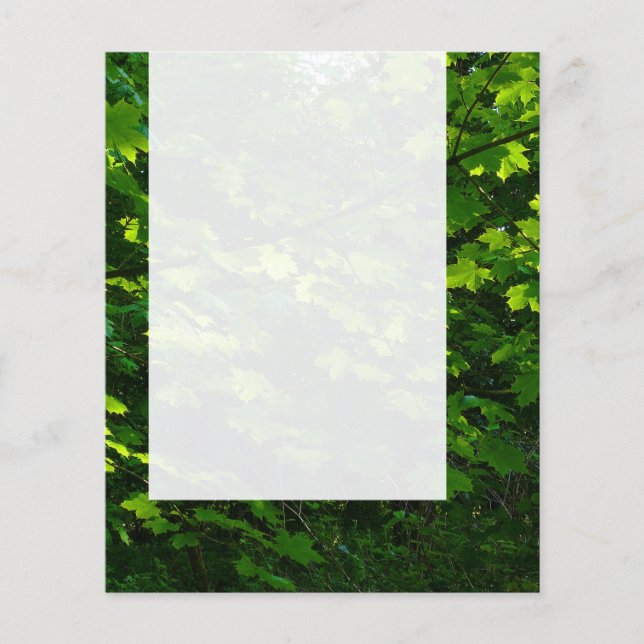 Prospectus 11,4 Cm X 14,2 Cm Panneau 039 - Feuilles d'été (Devant)