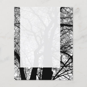 Prospectus 11,4 Cm X 14,2 Cm Panneau 054 - Arbre à contraste élevé