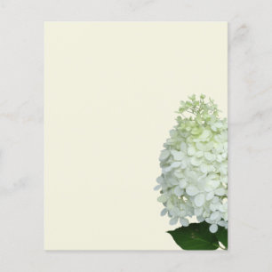 Prospectus 11,4 Cm X 14,2 Cm Papier écru blanc Hydrangea Fleur