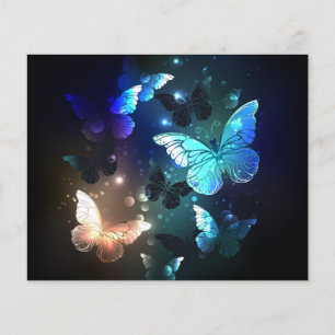 Prospectus 11,4 Cm X 14,2 Cm Papillon de nuit voltigeant