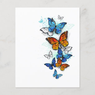 Prospectus 11,4 Cm X 14,2 Cm Papillons volants Morpho et Monarch