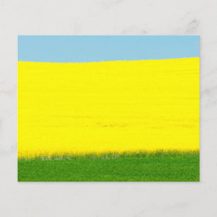 Prospectus 11,4 Cm X 14,2 Cm Paysage