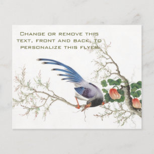 Prospectus 11,4 Cm X 14,2 Cm Peinture d'oiseaux chinois