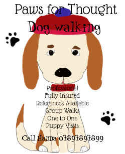 Prospectus Flyers Marcheur De Chien Zazzle Fr