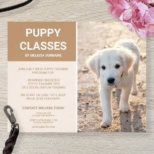 Prospectus 11,4 Cm X 14,2 Cm Photo de chiot Golden Retriever Cours de chiot per