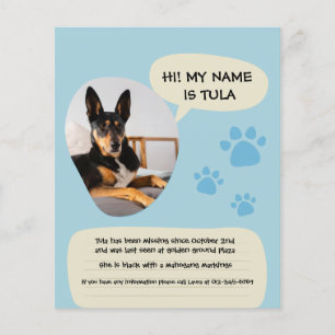 Prospectus 11,4 Cm X 14,2 Cm Poster photo bleu moderne de chien absent