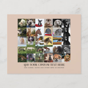 Prospectus 11,4 Cm X 14,2 Cm Prix les plus bas ! 35 x Collage de photos et text