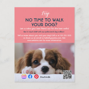 Prospectus 11,4 Cm X 14,2 Cm promeneur de chien garde d'animaux service de soin
