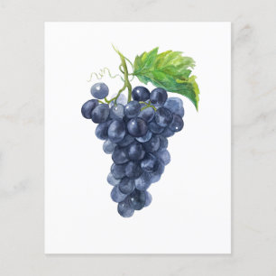 Prospectus 11,4 Cm X 14,2 Cm Raisins de raisin à l'aquarelle pour les événement