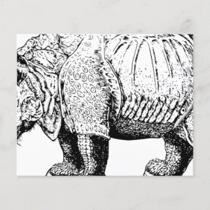 Prospectus 11,4 Cm X 14,2 Cm Rhino Rhinoceroses animal Afrique safari nature