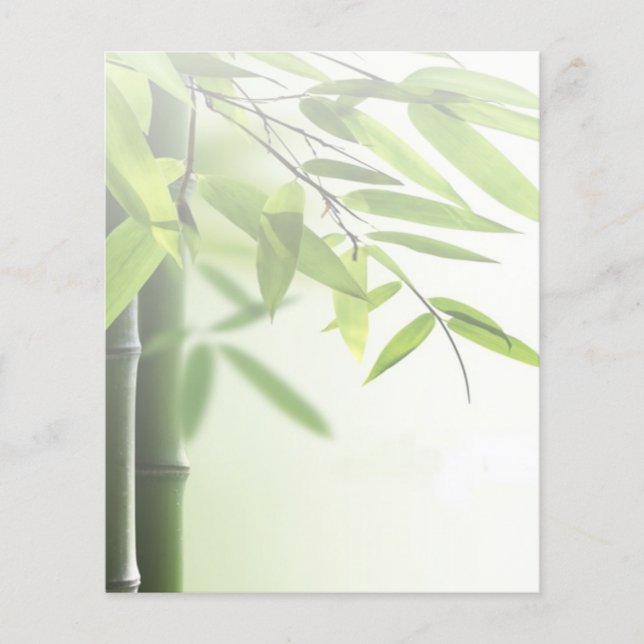 Prospectus 11,4 Cm X 14,2 Cm Salon de massage en bambou vert/Spa pour la peau (Devant)