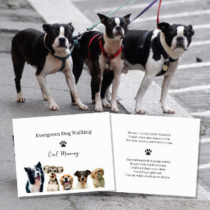 Prospectus 11,4 Cm X 14,2 Cm Service de promenade de chiens professionnelle et