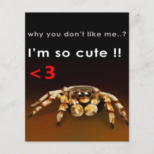 Prospectus 11,4 Cm X 14,2 Cm Spider Je suis si mignon   Cadeau de Spider Lover