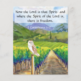 Prospectus 11,4 Cm X 14,2 Cm Traction évangélique