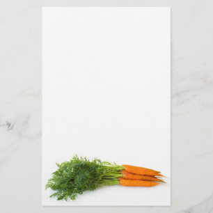 Prospectus 14 Cm X 21,6 Cm Carottes