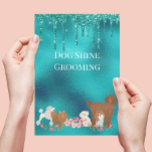 Prospectus 14 Cm X 21,6 Cm Chien Animaux de compagnie Grooming assis Parties<br><div class="desc">This design may be personalized in the area provided by changing the Phoand/or text. Or it can be customized by choosing the click to customize further option and delete or change the color of the background, add text, change the text color style, or delete the text for an image only...</div>
