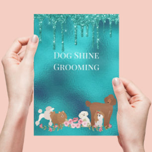 Prospectus 14 Cm X 21,6 Cm Chien Animaux de compagnie Grooming assis Parties