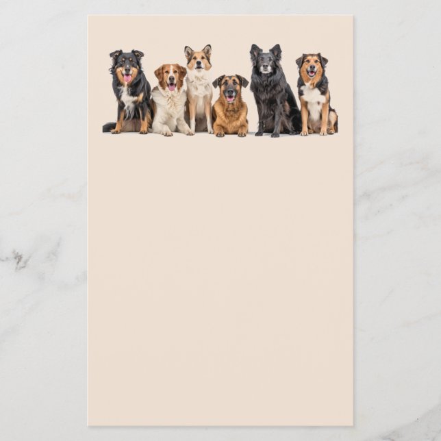 Prospectus 14 Cm X 21,6 Cm Chiens mignons ensemble flyer (Devant)