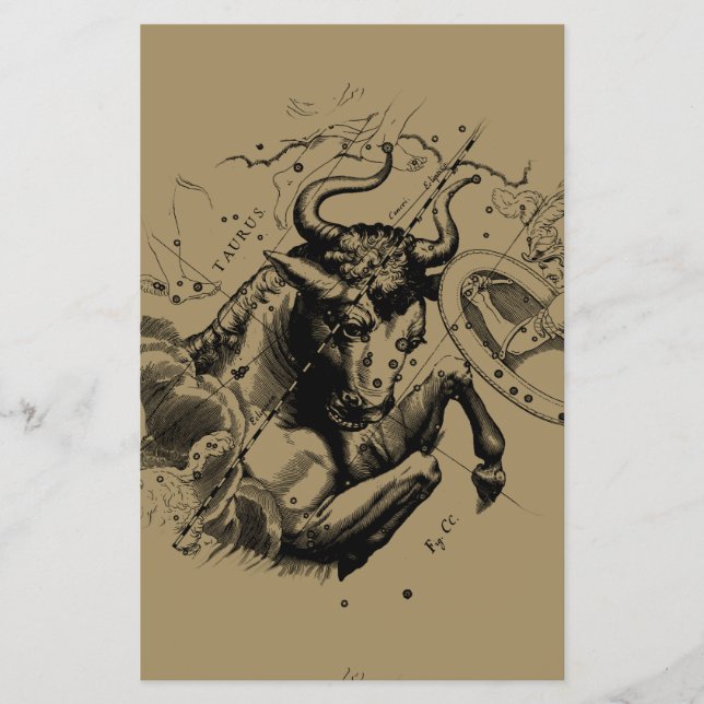 Prospectus 14 Cm X 21,6 Cm Constellation du Taureau Gravure de Hevelius 1690 (Devant)