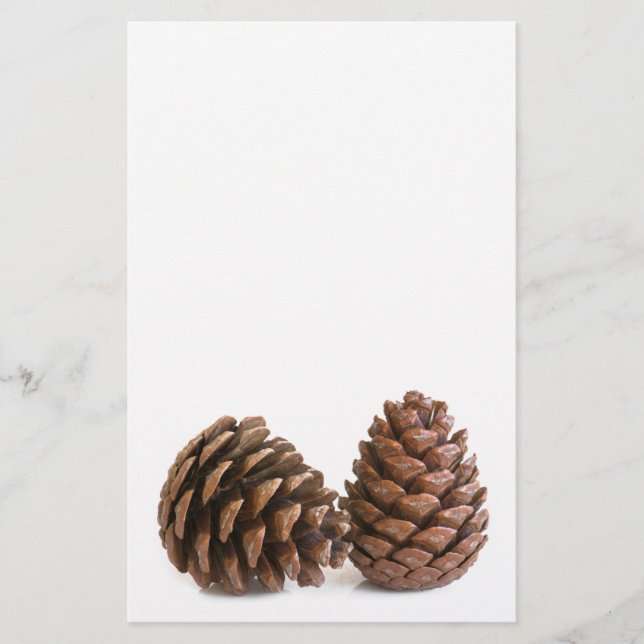 Prospectus 14 Cm X 21,6 Cm Deux pinecones (Devant)