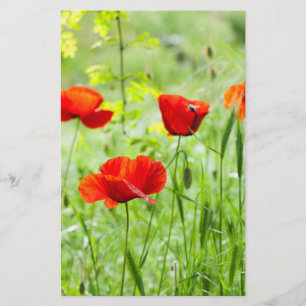 Prospectus 14 Cm X 21,6 Cm Fleur de pavot rouge sauvage