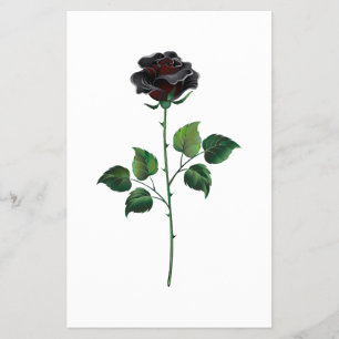 Prospectus 14 Cm X 21,6 Cm Fleur rose noire