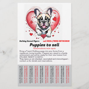 Prospectus 14 Cm X 21,6 Cm Flyer d'accueil d'un Bouledogue Français chez vous