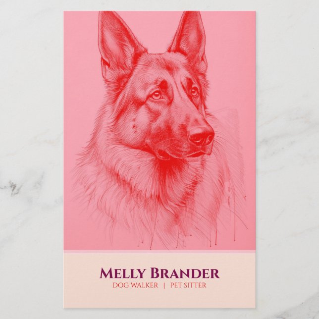 Prospectus 14 Cm X 21,6 Cm Garde d'animaux Promeneur  (Devant)