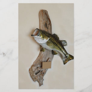 Prospectus 14 Cm X 21,6 Cm grande bouche basse