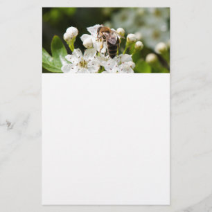 Prospectus 14 Cm X 21,6 Cm L'abeille récolte du pollen