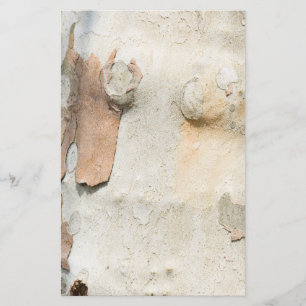 Prospectus 14 Cm X 21,6 Cm Le camouflage de l'arbre de l'avion ressemble à un