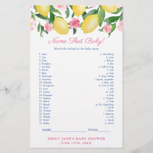 Prospectus 14 Cm X 21,6 Cm Match Bébé Animal Avec Maman Lemons Douche Carte