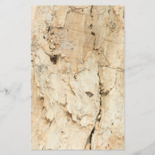 Prospectus 14 Cm X 21,6 Cm Motif en bois