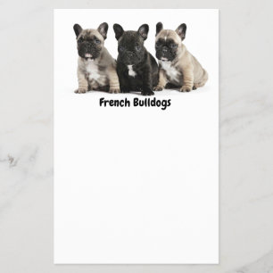 Prospectus 14 Cm X 21,6 Cm Petit Étiquette de Bulldogs français mignon