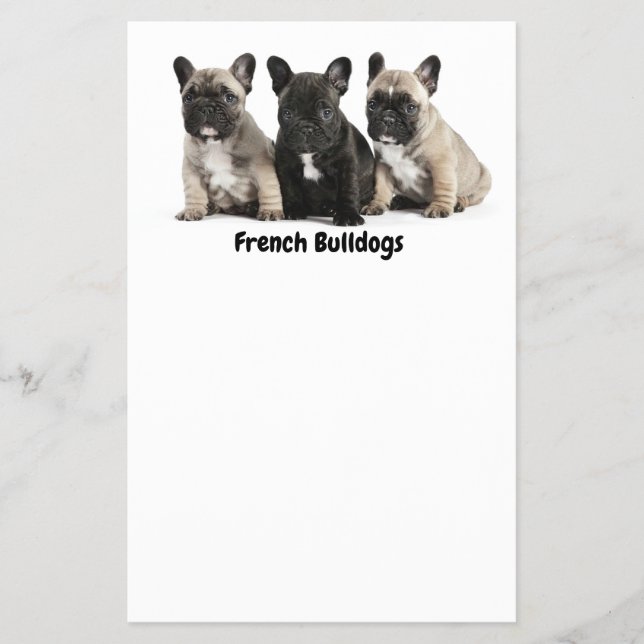 Prospectus 14 Cm X 21,6 Cm Petit Étiquette de Bulldogs français mignon (Devant)