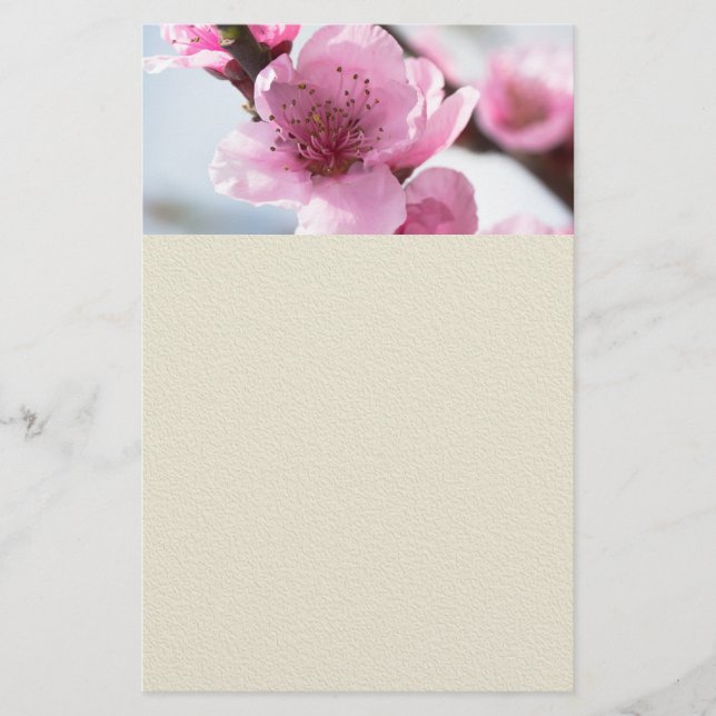 Prospectus 14 Cm X 21,6 Cm Printemps (Devant)