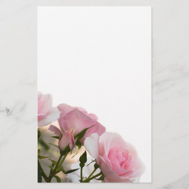 Prospectus 14 Cm X 21,6 Cm Roses roses (Devant)
