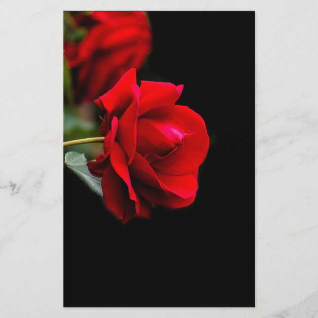 Prospectus 14 Cm X 21,6 Cm Rouge (Devant)