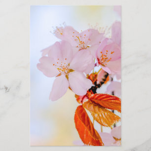 Prospectus 14 Cm X 21,6 Cm Sakura - fleurs de cerisiers japonais