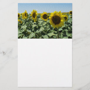 Prospectus 14 Cm X 21,6 Cm Tournesol
