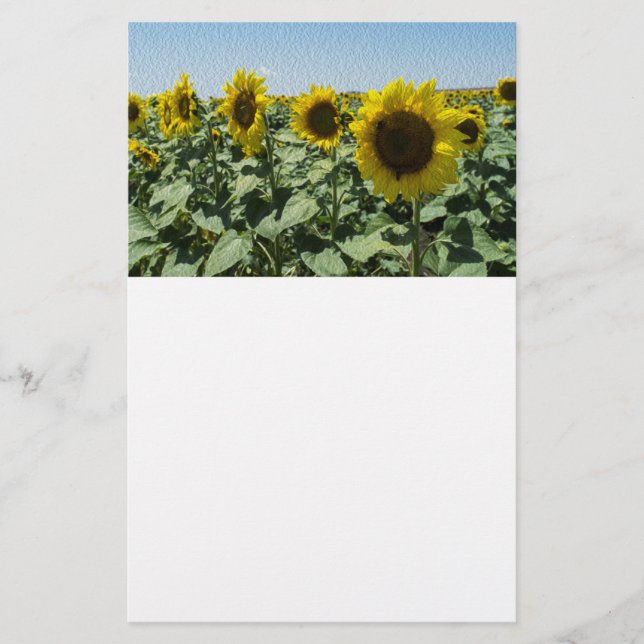 Prospectus 14 Cm X 21,6 Cm Tournesol (Devant)