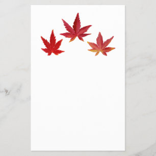 Prospectus 14 Cm X 21,6 Cm Trois feuilles rouges en chute