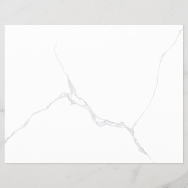PROSPECTUS 21,6 CM X 24,94 CM   (Dos)